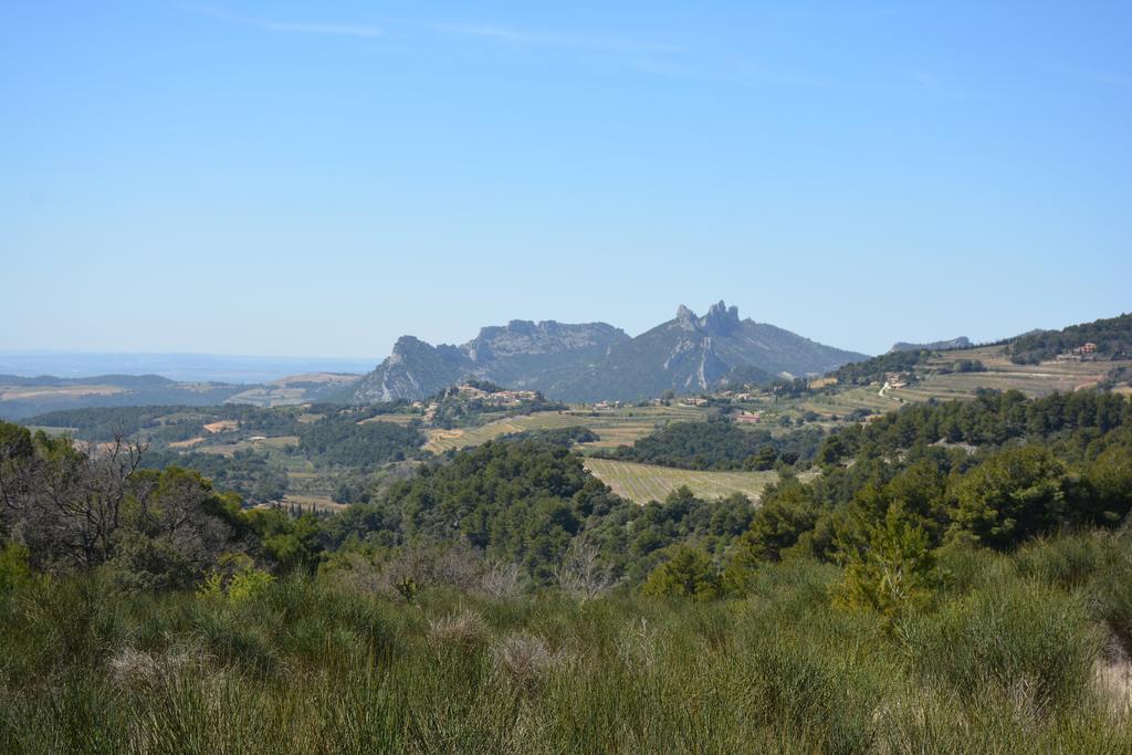 Mas De Carabelle Bed & Breakfast La Roque-Alric Luaran gambar